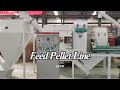 Línea de pellets de alimentación 3-4T/h | Fábrica de pellets para piensos para la venta