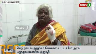 வெறி நாய் கடித்ததால் 3 பெண்கள் உட்பட 7 பேர் அரசு மருத்துவமனையில் அனுமதி