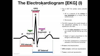 Basics Parts to an Electrokardiogram [EKG]