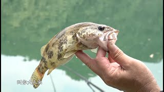 《游钓中国》第七季 第20集 秋钓响洪甸之草鲤连连 Fishing tour in China【游钓中国栏目组】