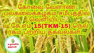 கோவை வேளாண் பல்கலைக்கழகம் சமீபத்தில் வெளியிட்ட டி.கே.எம்-15(TKM-15) நெல் ரகம் பற்றிய தகவல்கள்...