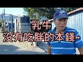 【吉蒸牧場畜牧小學堂】乳牛沒有吃胖的本錢？吃草是吃什麼草？花蓮酪農場實習by小編記不住