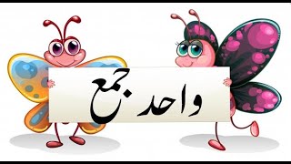 Urdu Wahid/Jama (Singular Plural In Urdu) | Preschool online Learning | Preschool Videos