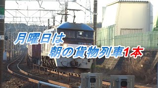 JR貨物 2023/02/06 朝の貨物列車 月曜日はこの1071レの1本 東海道本線