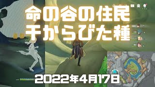 原神実況！「命の谷の住民（アチーブメント）」解放方法と条件・場所。干からびた種の場所への行き方。Genshin ver.2.6(PS4)ミルダムアーカイブ2022年4月17日その2