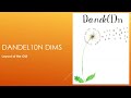 Dandel10n DIMS – Layout of the GUI