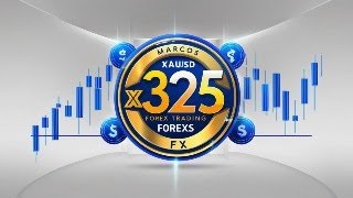 Como USAR IndicadorX325? no FOREX  – Episódio 11 da Série X-325\