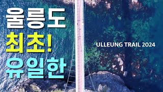 🌊울릉도의 재발견!! 울릉도를 제대로 만날 수 있는 특별한 여행?! 울릉트레일 (해담길 part1) 을 달려봐!!!