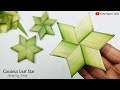 How to Make Stars From Coconut Leaf | Crafts With Real Leaves | Leaf Craft Activities