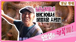 [인생은 행복海] 남남북녀, 바다에서 꽃피운 사랑 - 경남 창원 [6시 내고향] | KBS 220801 방송