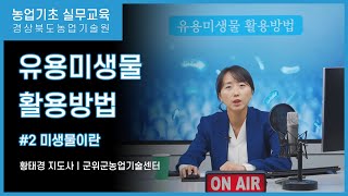 유용미생물 활용방법 2편 - 미생물이란