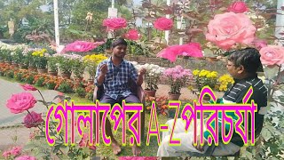 ভারতীয় আবহাওয়ায় কোন ধরনের গোলাপ ভালো হয়।PART-2