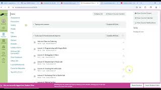 Navigating Canvas Modules and Assignments