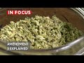 Marijuana and Amendment Three Explained | Southwest Florida In Focus | WGCU News