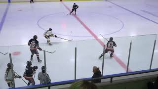 U15 AA Burlington Barracudas vs Mississauga Hurricanes 20250123