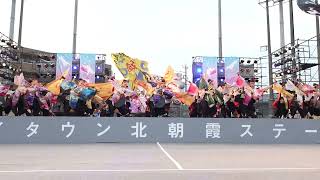 CHIよREN北天魁 　ファイナルステージ　第41回朝霞市民まつり「彩夏祭」関八州よさこいフェスタ　　2024年8月4日　マイタウン北朝霞ステージ