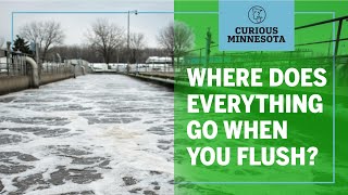 When you flush a toilet in the Twin Cities, where does everything go?