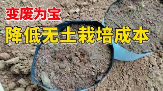 变废为宝，这才是降低无土栽培成本最好的方法【付老师种植技术团队】