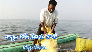 డ్యాం లోకి వేటకు పోతే పడ్డ చేపలు || @yatalashankervlogs8076