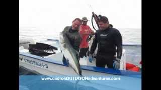 Cedros SpearFishing season 2011 with Cedros OUTDOOR Adventures.mov