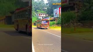 කවුද දැක්කේ update එක #trending #automobile #funny