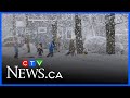 Another round of snow in Cape Breton