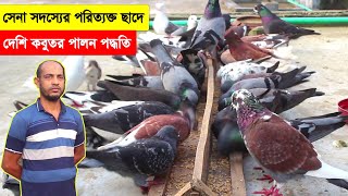 অবসর প্রাপ্ত সেনা সদস্যের পরিত্যক্ত ছাদের উপর দেশি কবুতর পালন পদ্ধতি জেনে নিন | BD Pigeon Farm