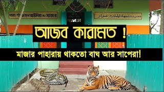 সাপ এবং বাঘ মিলে পাহারা দিতো  যে আল্লাহর ওলির মাজারে! পটিয়া হযরত শাহ জাহান আউলিয়ার  মাজার | AHV TV