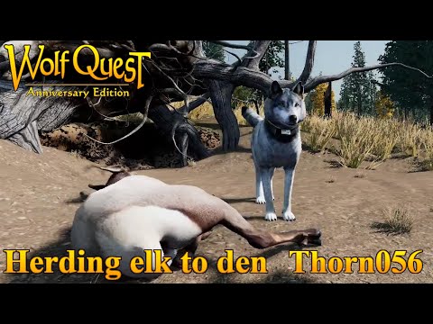 Herding tutorial (in captions)  WolfQuest Anniversary Edition