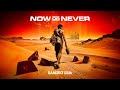 Sandro Silva - Now Or Never