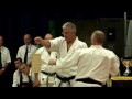 2008 kyokushin karate hanshi steve arneil kata demo shihan alex kerrigan baseball bat break