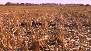 Biomass: A New Opportunity