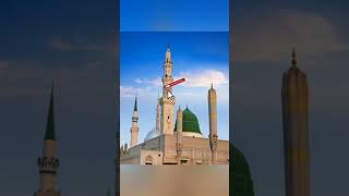 Aye Sarkary Madina ✨|#shorts #youtubeshorts #youtubevideo #ytshorts #naatsharif #status #whatsapp