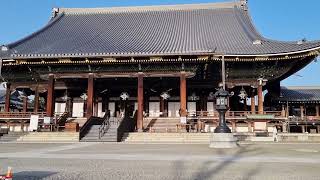 Higashi Honganji daily Buddhist prayers (東本願寺晨朝法要 (朝のお勤め) )