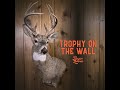 trophy on the wall