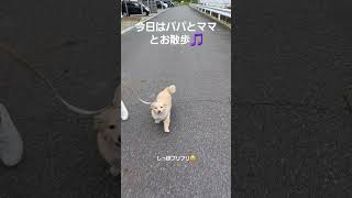 ご機嫌おさんぽ🎵