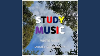 White Noise + Erik Satie : Gymnopedie No.1 (집중력 높이는 음악 (독서실...