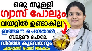 ഒരു തുള്ളി ഗ്യാസ് പോലും വയറ്റിൽ ഉണ്ടാകില്ല ഇങ്ങനെ ചെയ്‌താൽ | വീർത്ത കുടവയറും ചുരുങ്ങും | GASTROUBLE