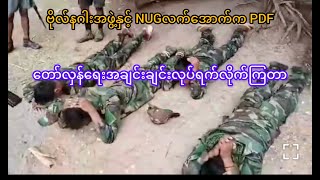 ဗိုလ်နဂါး အဖွဲ့နှင့် NUG လက်အောက်က PDF ပြသနာ