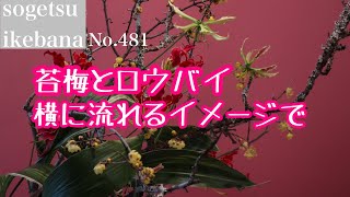 苔梅とロウバイ横に流れるイメージで　No.481