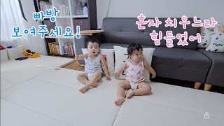 쌍둥이 아가들이 만화를 보기 전에 하는 귀여운 행동 (21개월)