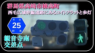 【信号機撮影#398】群馬県高崎市棟高町  西毛広域幹線道路にあるコイトフラットと歩灯