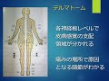 腰部脊柱管狭窄症の診断と治療