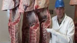 Beef Yield Grading