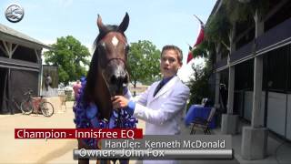 Egyptian Event Highlights 2012 - Kenneth McDonald Interview