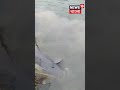 uttarpradesh এর lalganj এ উদ্ধার ৮ ফুটের dolphin দেখুন । shorts