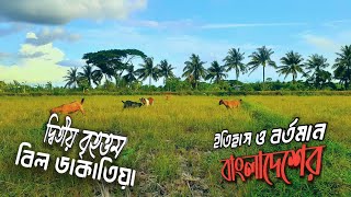 ডাকাতিয়া বিল - History of Beel Robbery