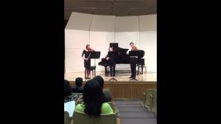 Baroque Festival Bach Terzetti trio