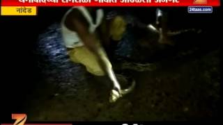 Nanded 11 Feet And 30 Kg Weighted Python Found In Nanded