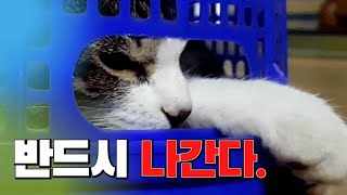 나 여기서 나가면 너 가만 안둬!!! 어? (Feat. 올드보이) (ENG SUB)